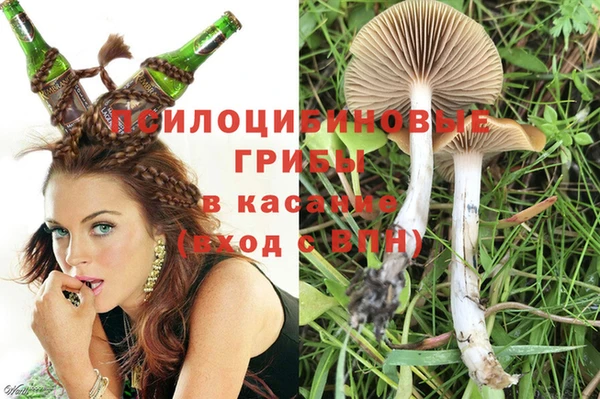 альфа пвп Верхнеуральск
