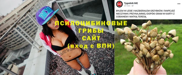гашик Верхний Тагил