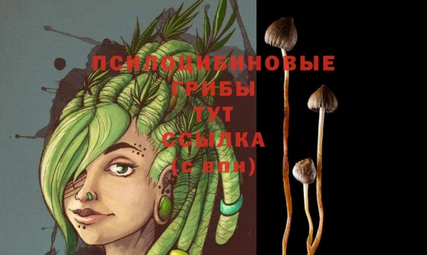 прущая мука Верея