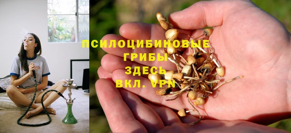 прущая мука Верея