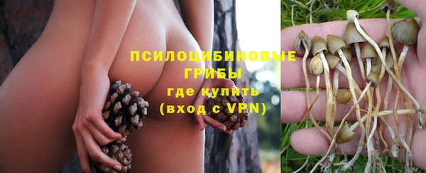 альфа пвп Верхнеуральск
